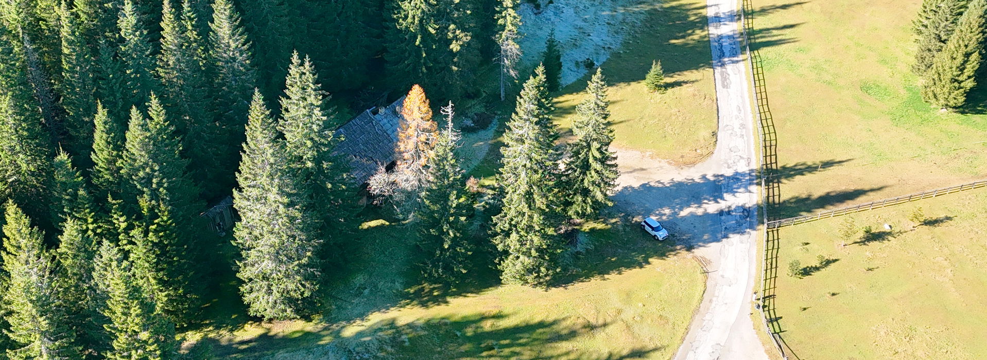 Lokacija: Gorenjska, Bohinj, Goreljek
