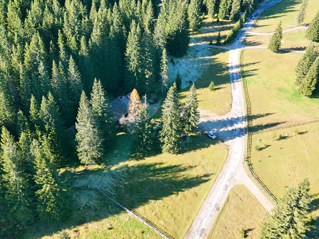 Location: Gorenjska, Bohinj, Goreljek